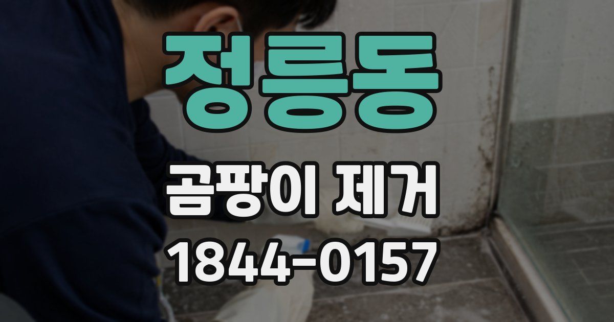 정릉동 곰팡이 제거