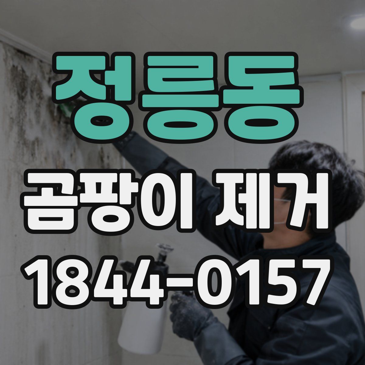 정릉동 곰팡이 제거