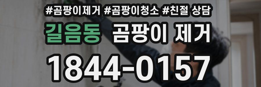 길음동 곰팡이 제거