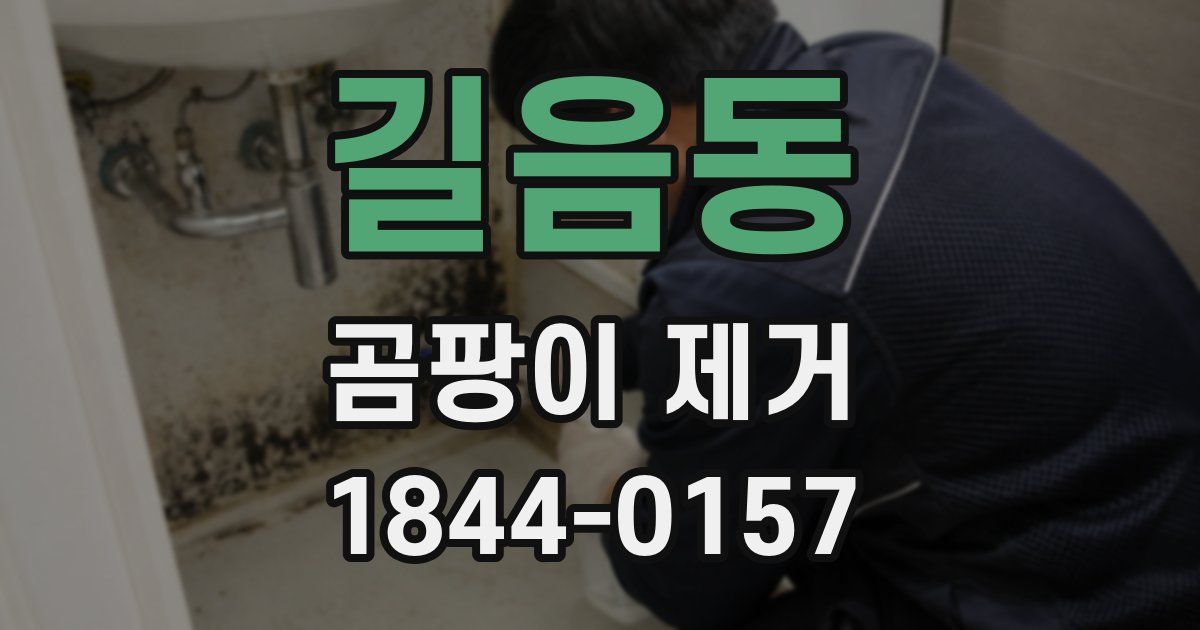 길음동 곰팡이 제거