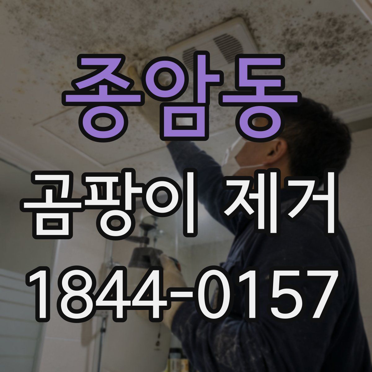 종암동 곰팡이 제거