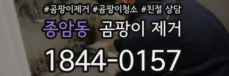 종암동 곰팡이 제거