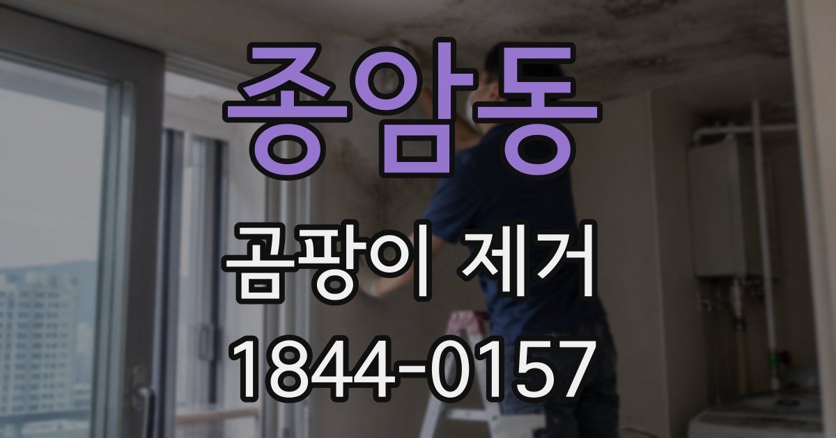 종암동 곰팡이 제거