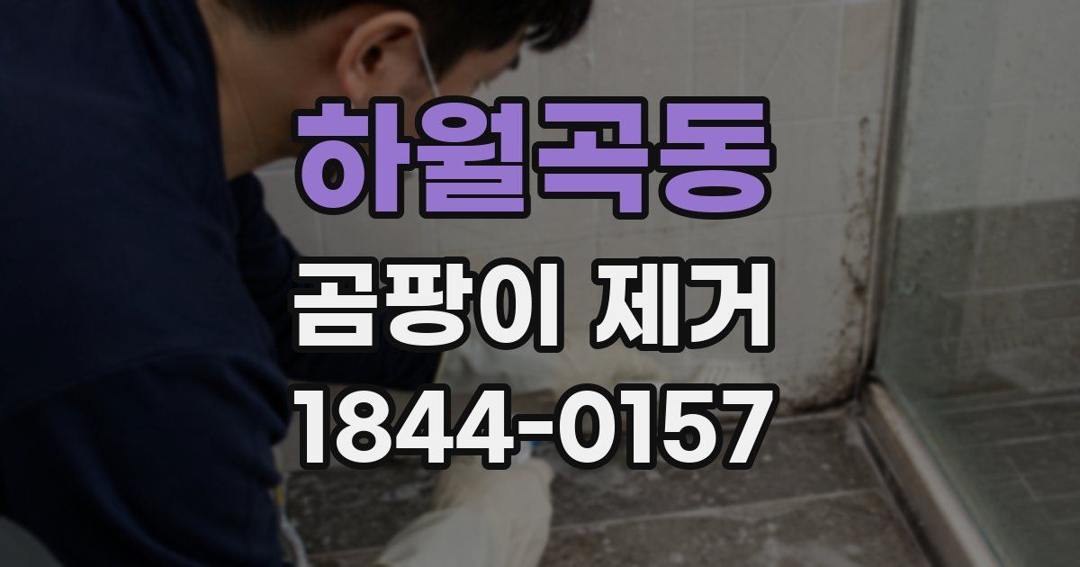 하월곡동 곰팡이 제거