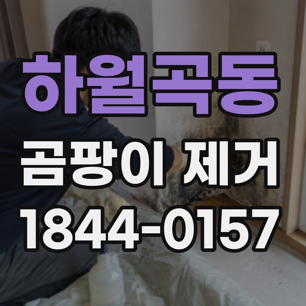 하월곡동 곰팡이 제거