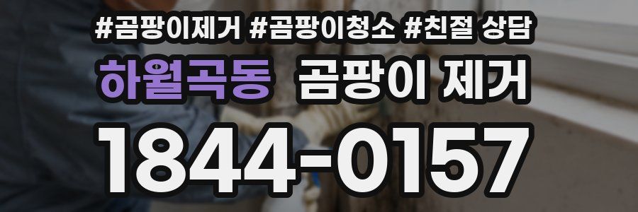 하월곡동 곰팡이 제거
