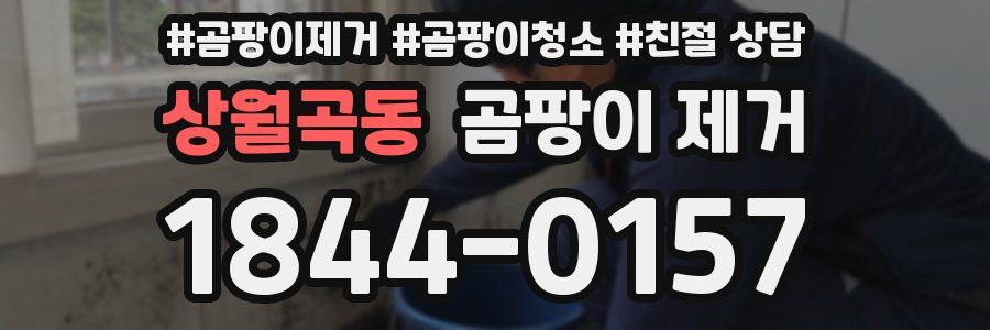 상월곡동 곰팡이 제거