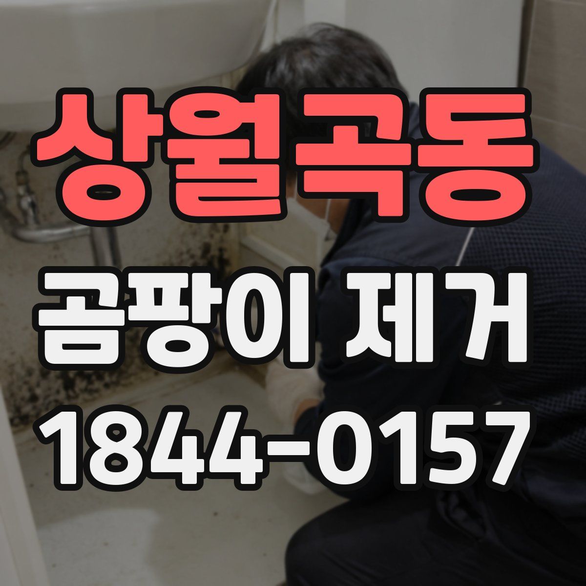 상월곡동 곰팡이 제거