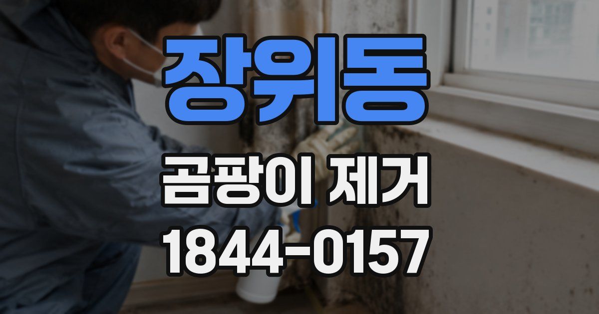 장위동 곰팡이 제거