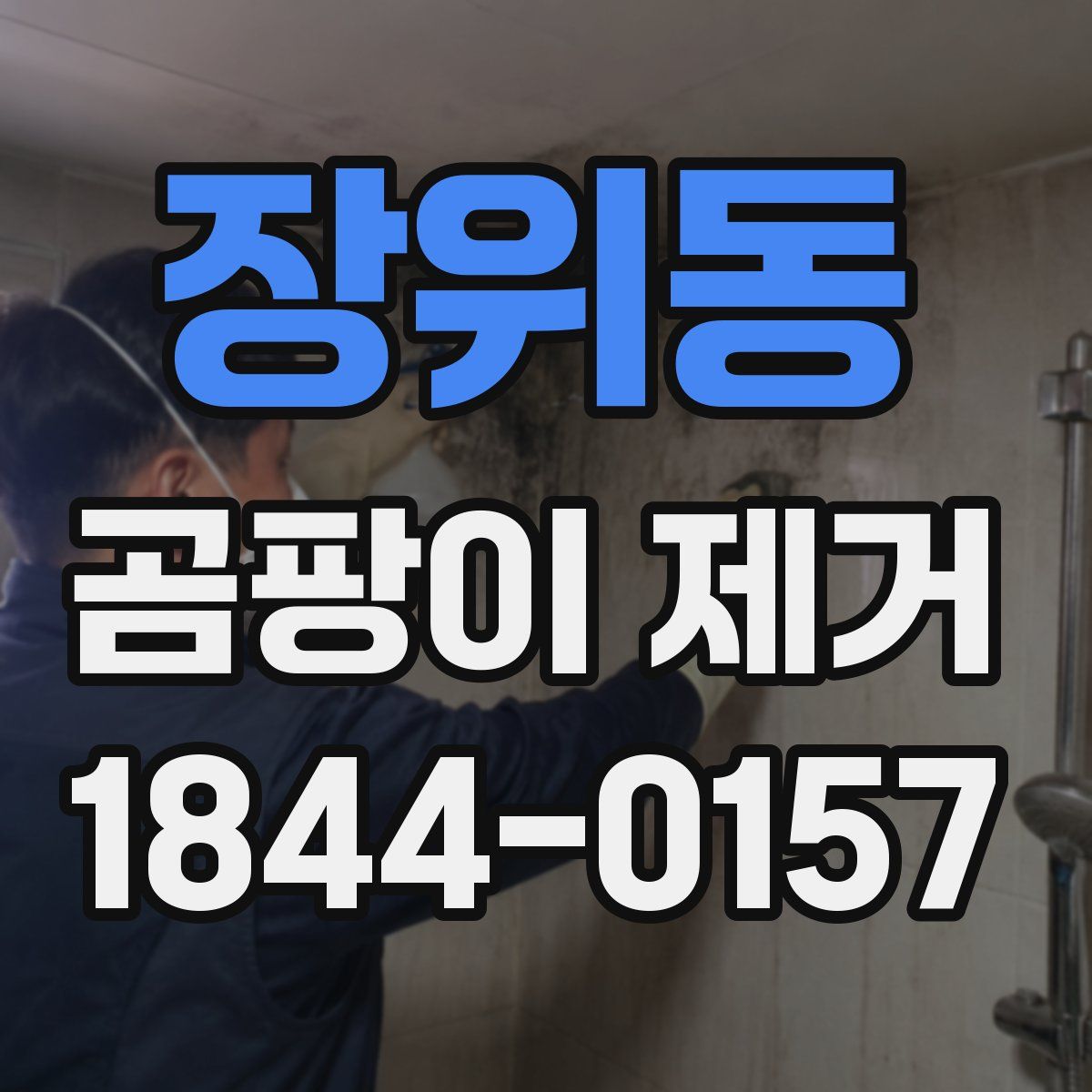 장위동 곰팡이 제거
