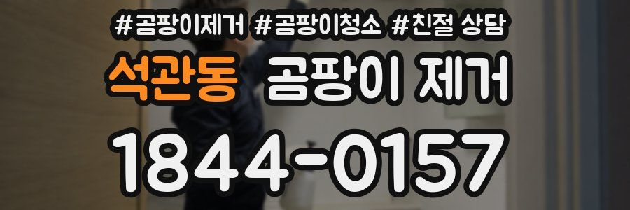 석관동 곰팡이 제거