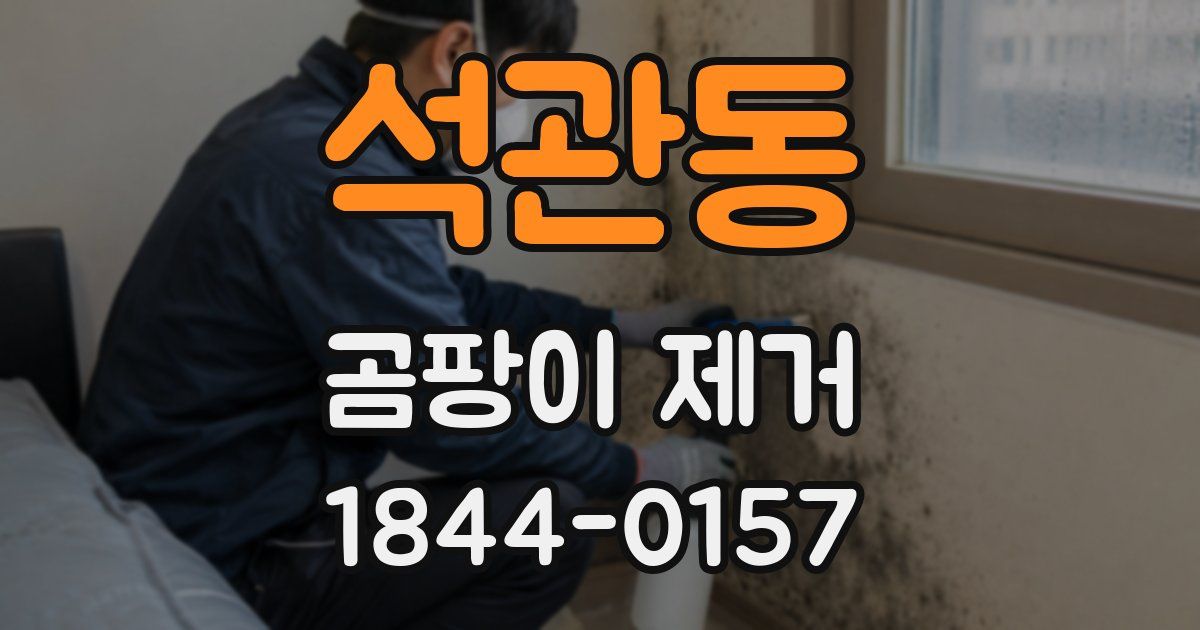 석관동 곰팡이 제거