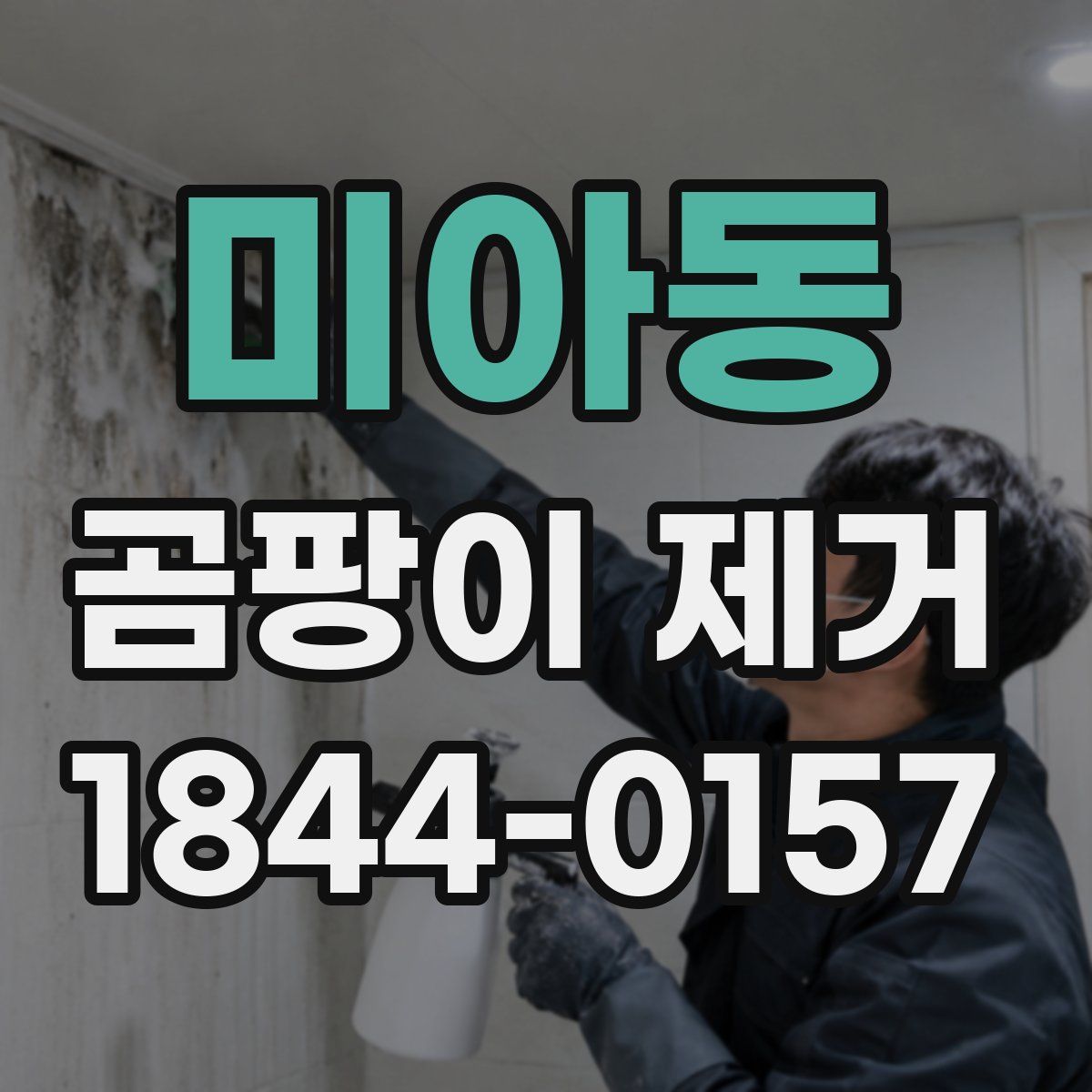 미아동 곰팡이 제거