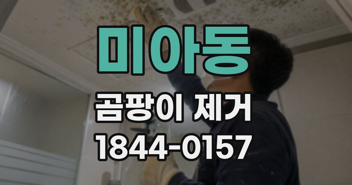 미아동 곰팡이 제거
