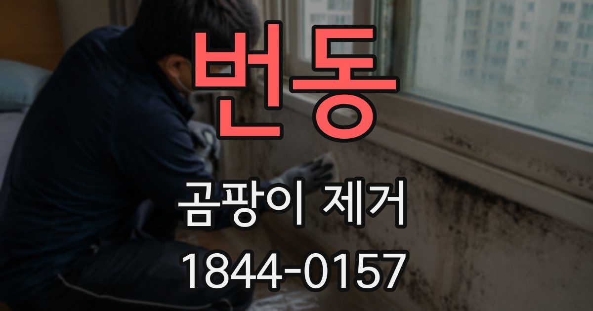 번동 곰팡이 제거