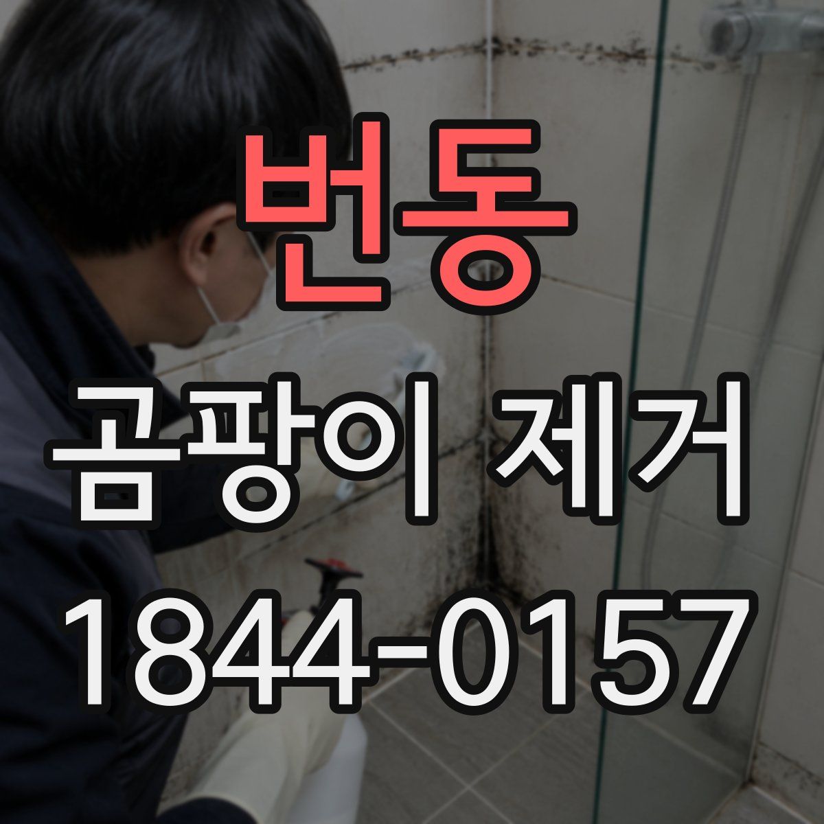 번동 곰팡이 제거