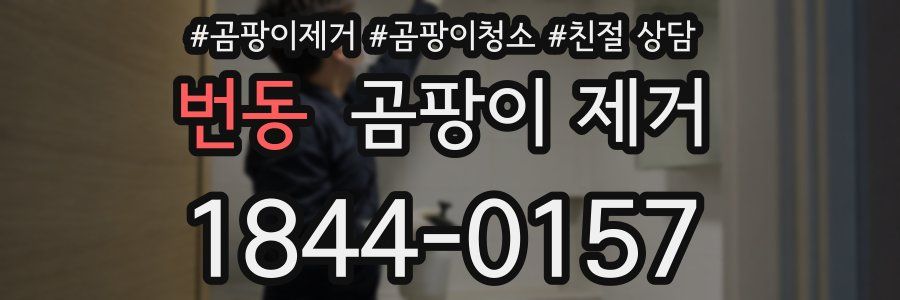번동 곰팡이 제거