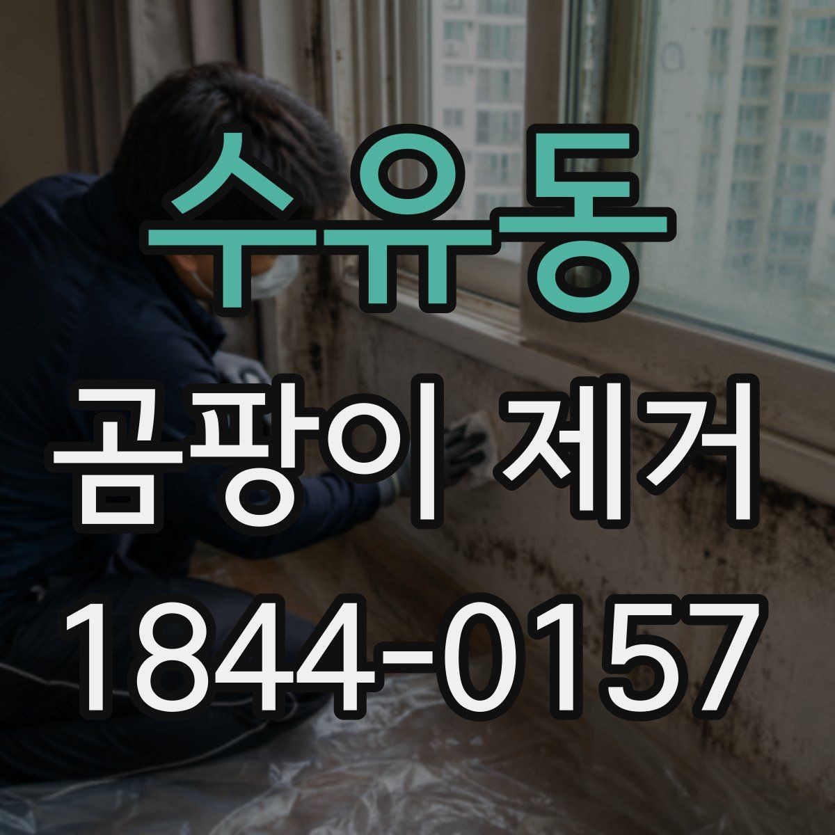 수유동 곰팡이 제거 이사 전 점검하면 좋은 항목