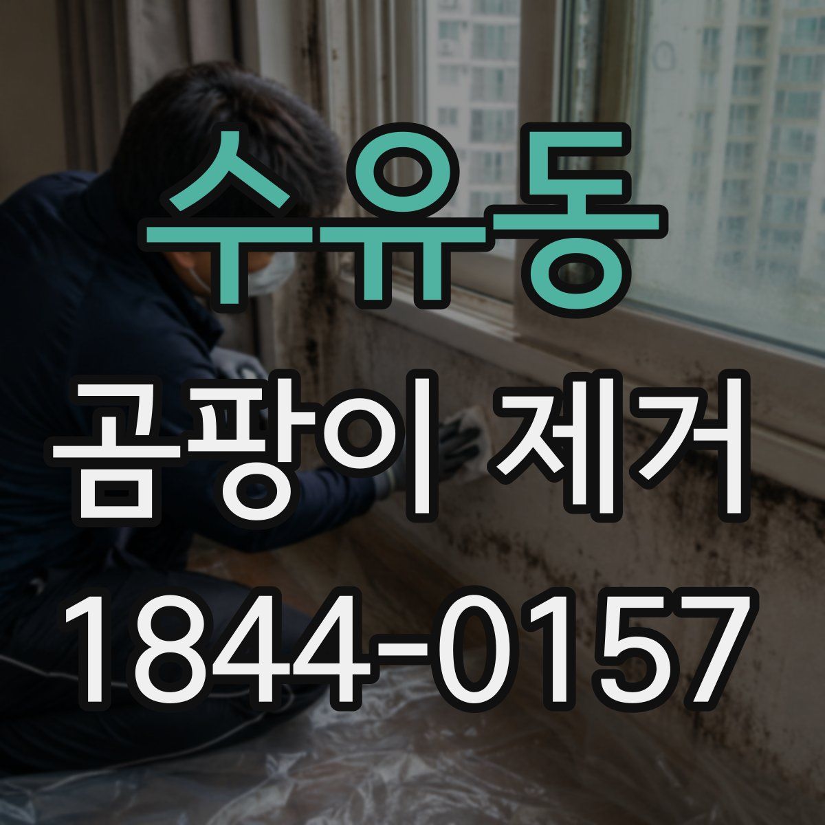 수유동 곰팡이 제거