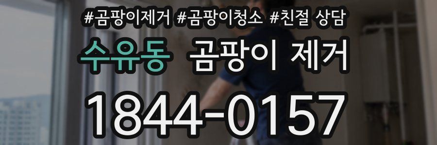 수유동 곰팡이 제거
