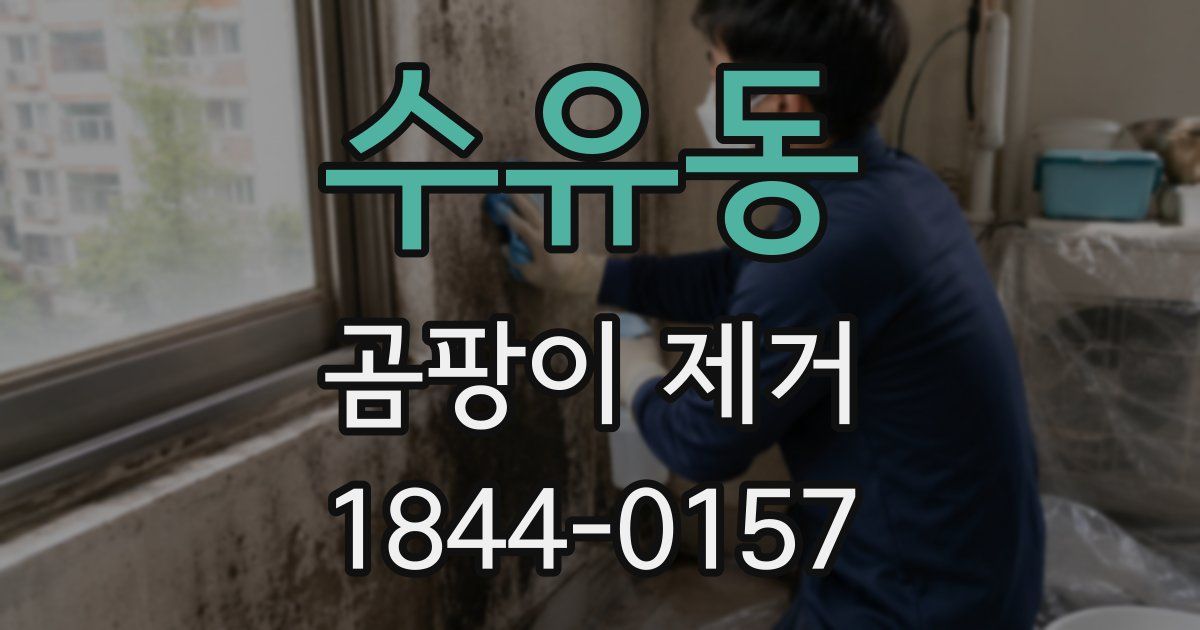 수유동 곰팡이 제거