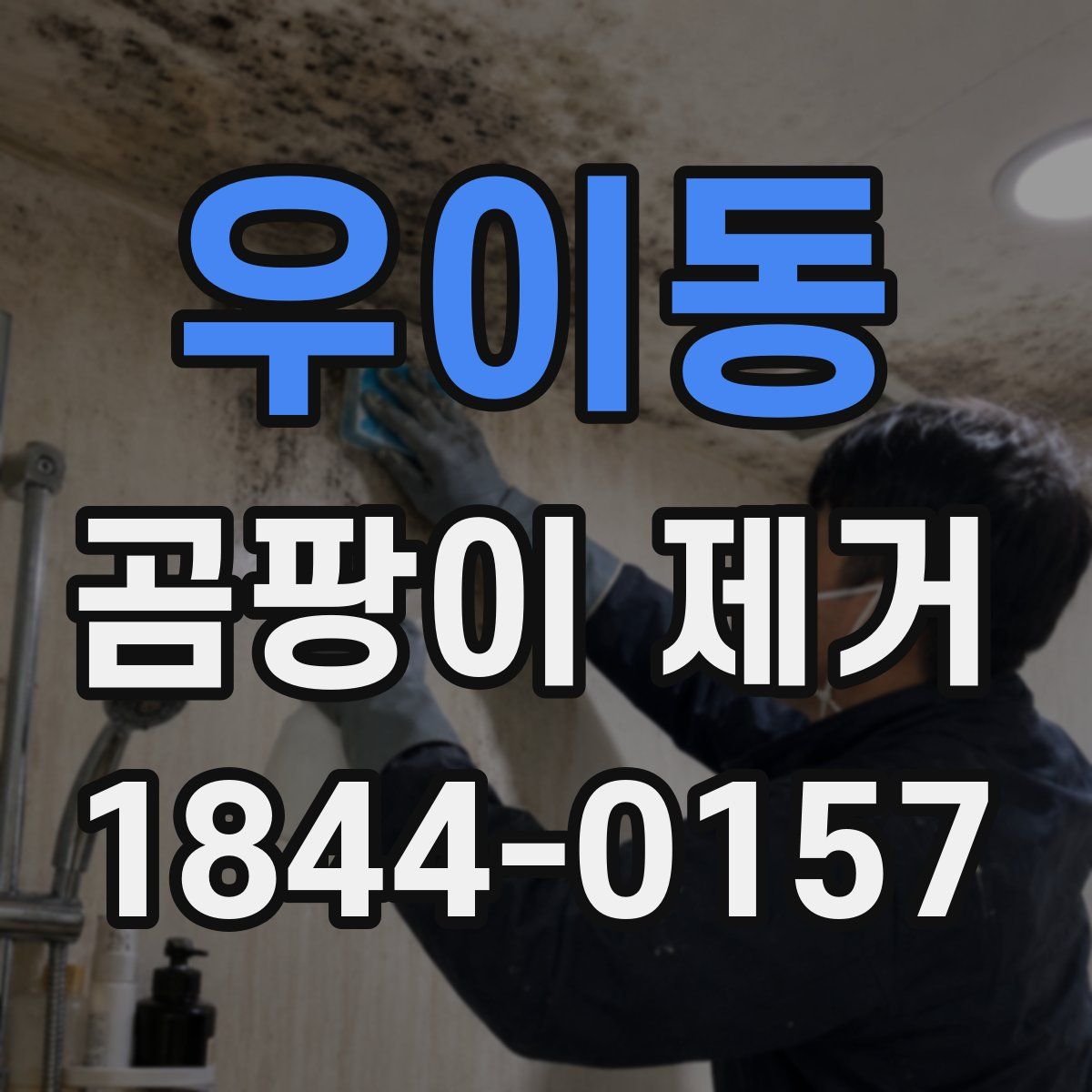 우이동 곰팡이 제거