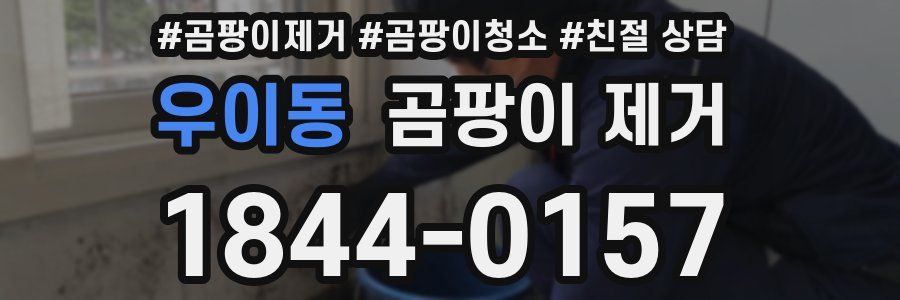 우이동 곰팡이 제거