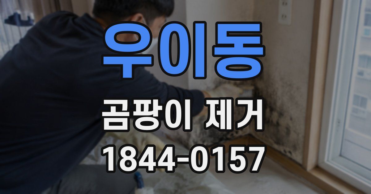 우이동 곰팡이 제거