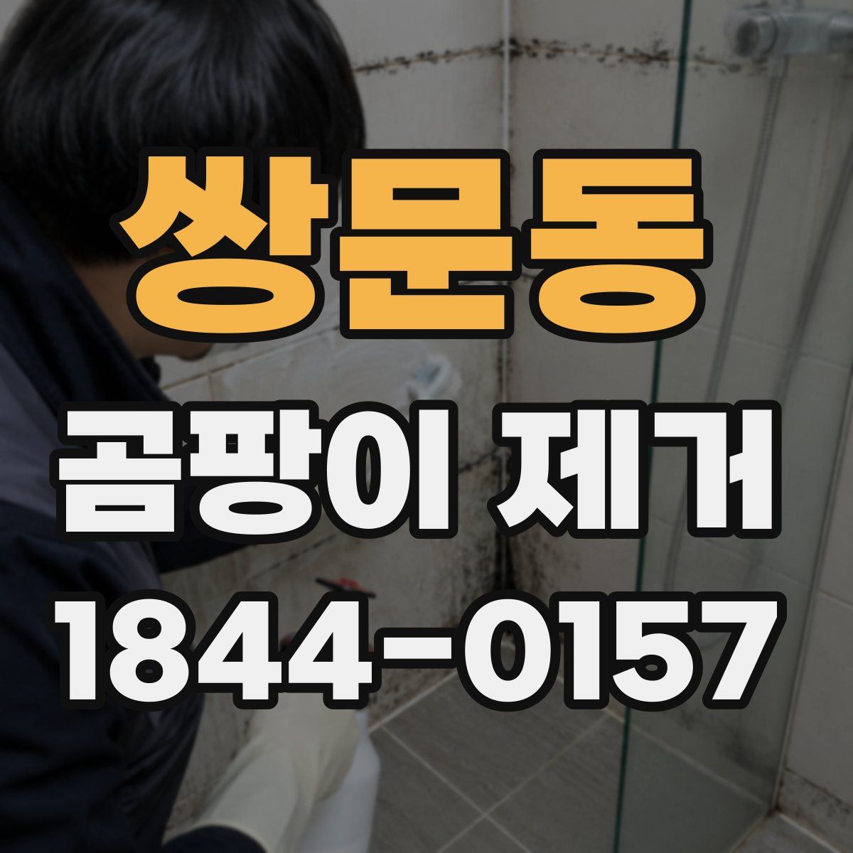 쌍문동 곰팡이 제거