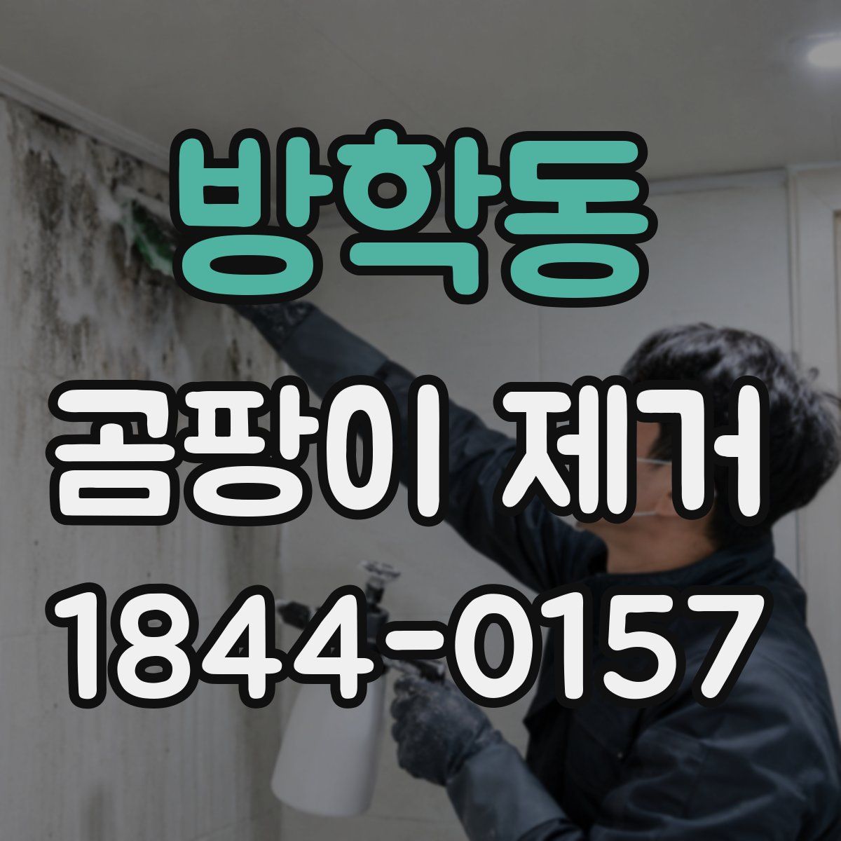 방학동 곰팡이 제거