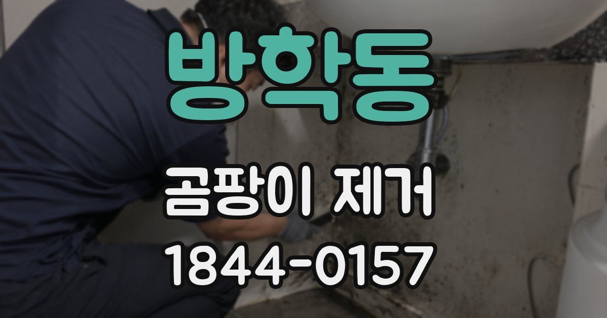 방학동 곰팡이 제거