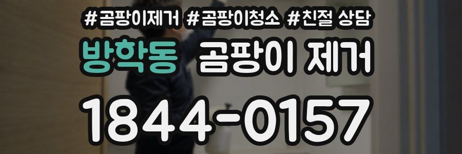 방학동 곰팡이 제거