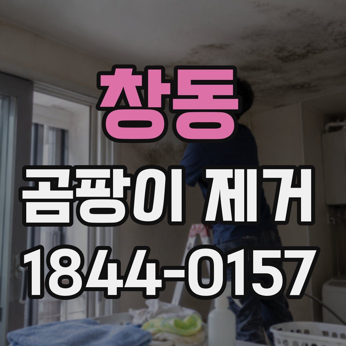 창동 곰팡이 제거 전후 차이를 만드는 핵심 요소