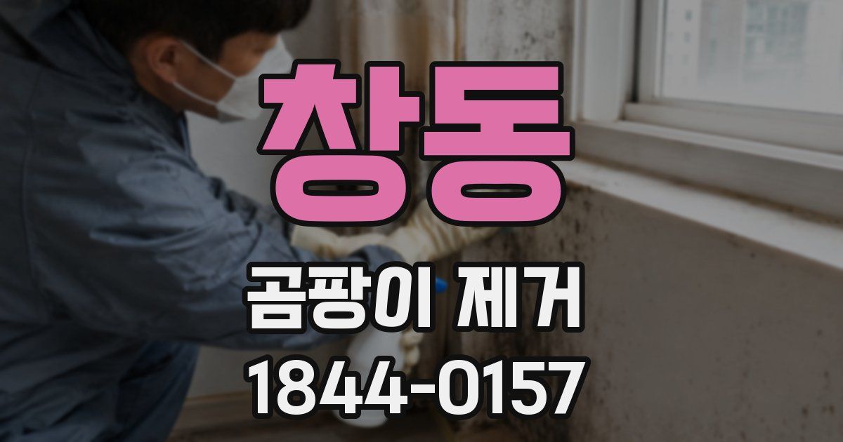 창동 곰팡이 제거