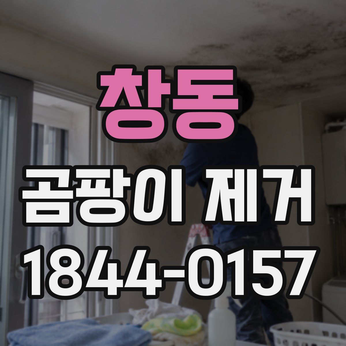 창동 곰팡이 제거