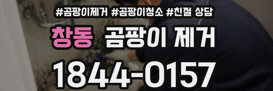 창동 곰팡이 제거