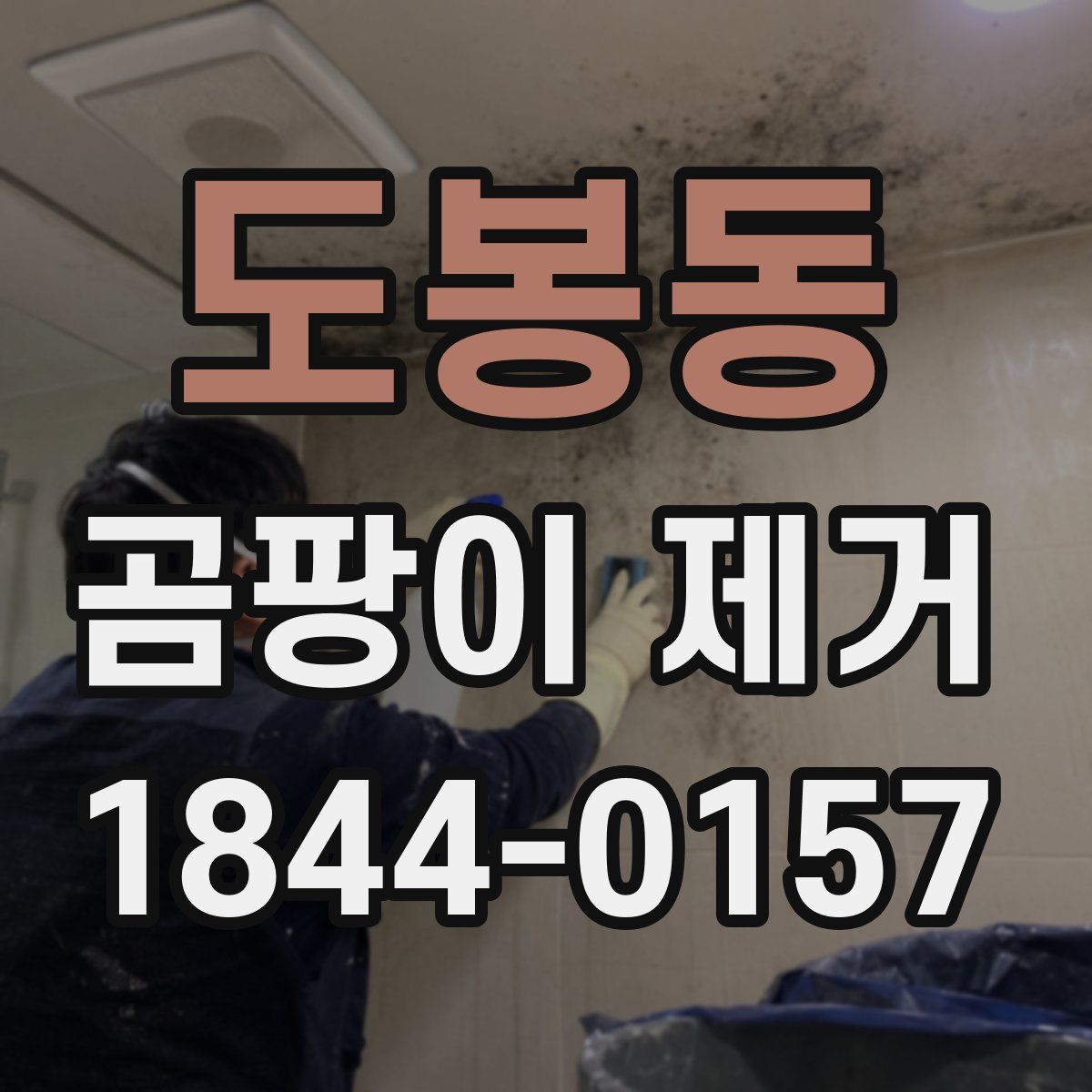 도봉동 곰팡이 제거