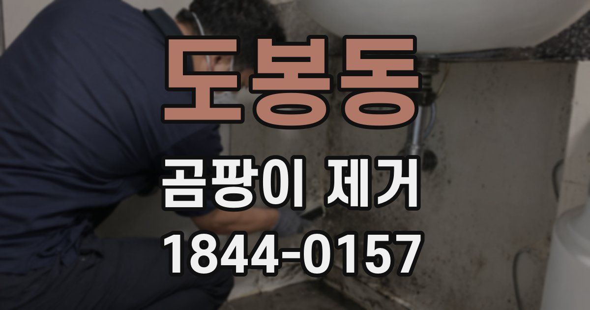 도봉동 곰팡이 제거