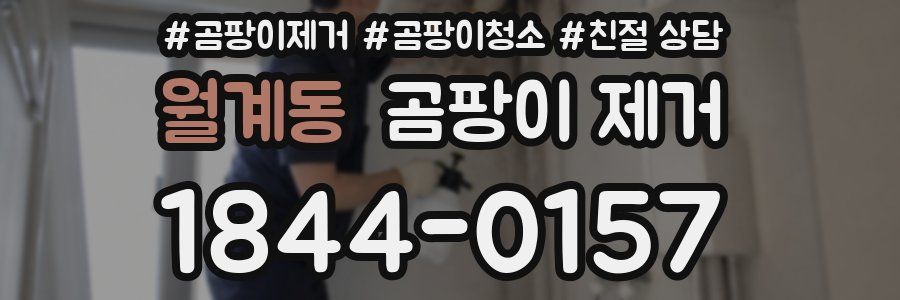 월계동 곰팡이 제거