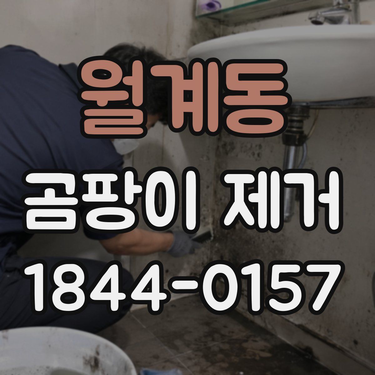 월계동 곰팡이 제거