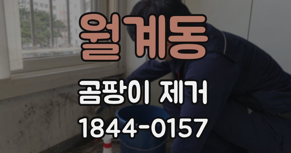 월계동 곰팡이 제거