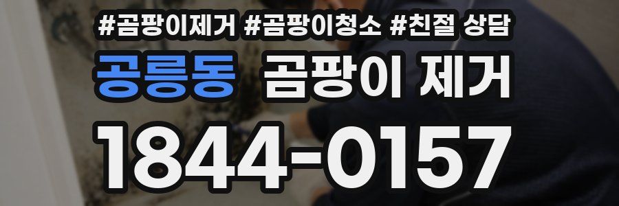 공릉동 곰팡이 제거