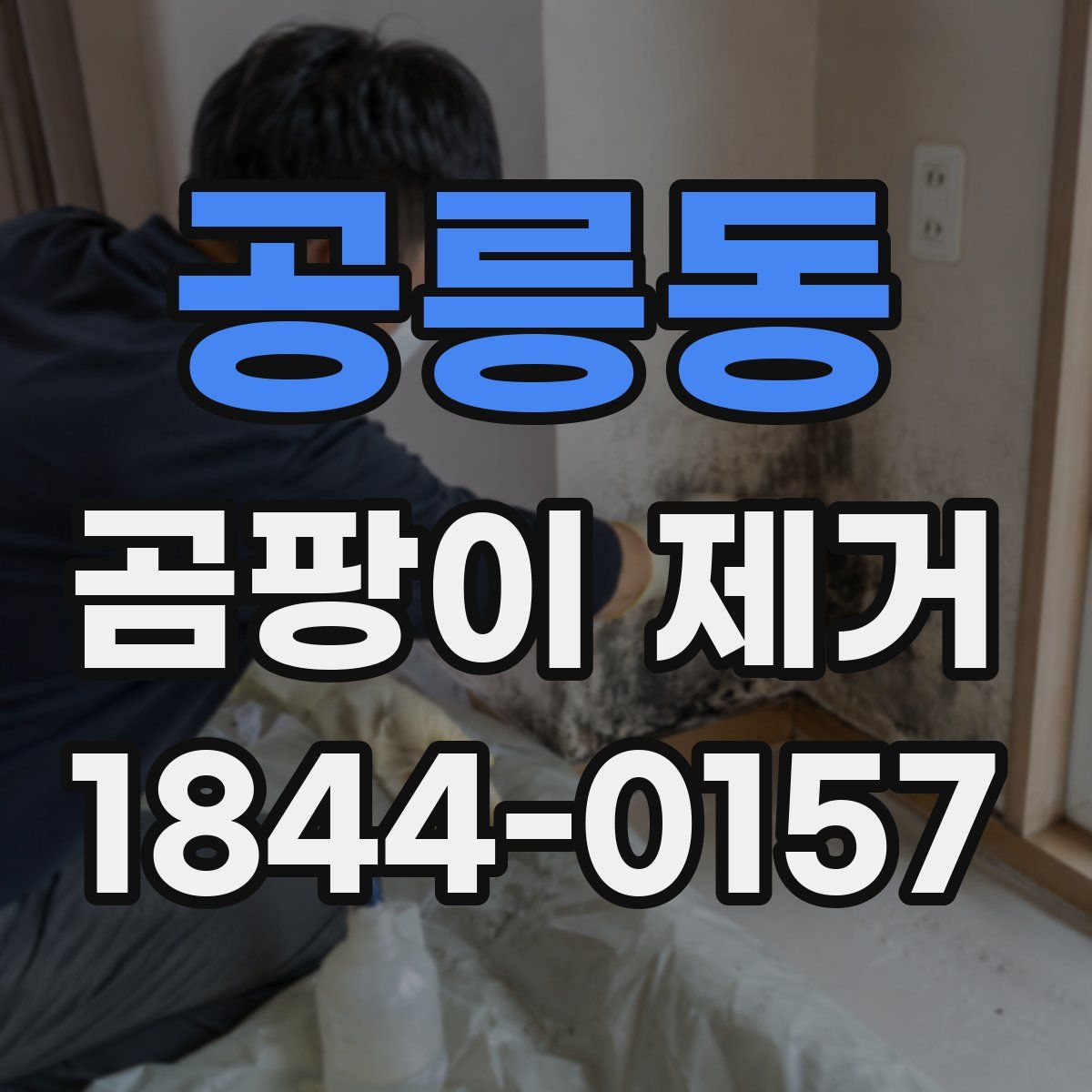 공릉동 곰팡이 제거