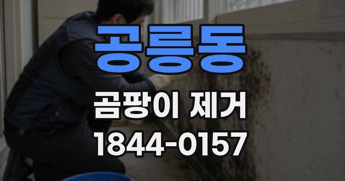 공릉동 곰팡이 제거