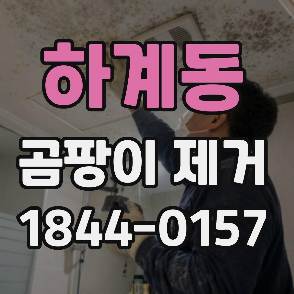 하계동 곰팡이 제거 대상에 따라 달라지는 작업 방식