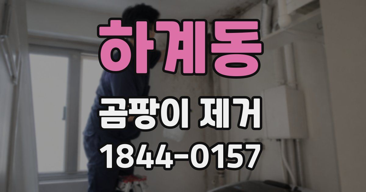 하계동 곰팡이 제거