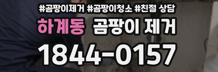 하계동 곰팡이 제거