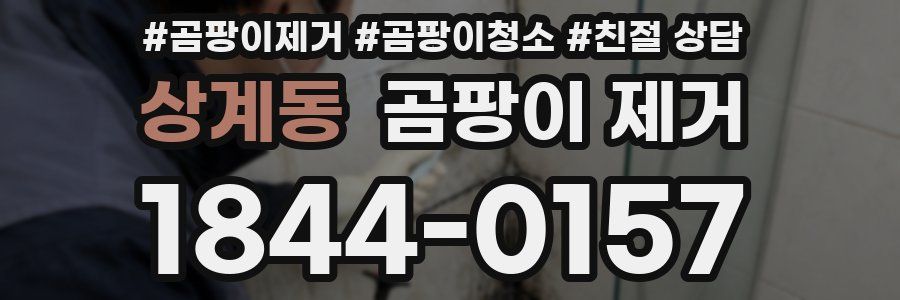 상계동 곰팡이 제거
