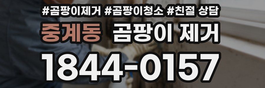 중계동 곰팡이 제거