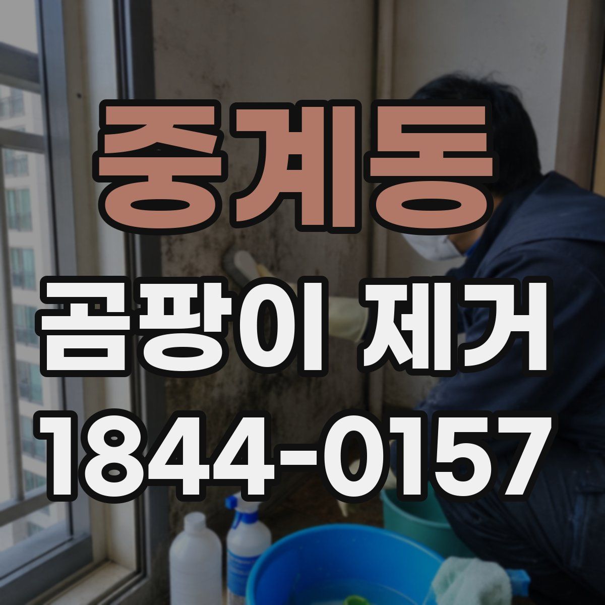 중계동 곰팡이 제거